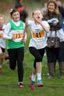 Orange 41, North East Harrier League, Sunderland.